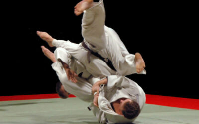 ju-jitsu tadizionale